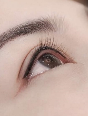 Phun mí mắt mèo